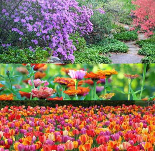 Professional Gardeners and Landscapers